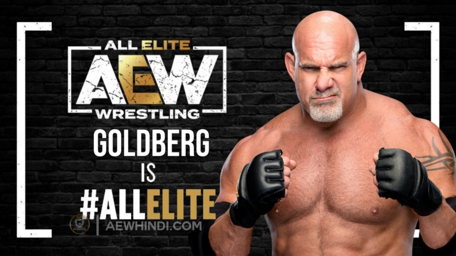 Goldberg is All Elite 10 Wrestling free agents who should join AEW